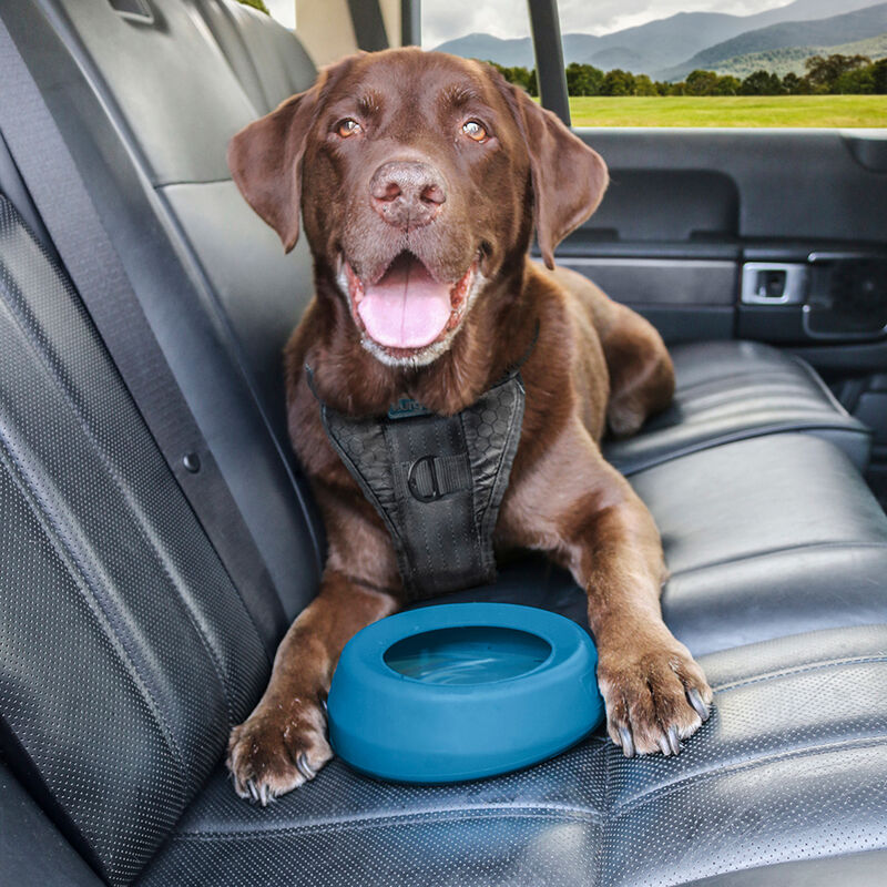 Kurgo, Splash Free Wander Water Bowl - Coastal Blue image number null