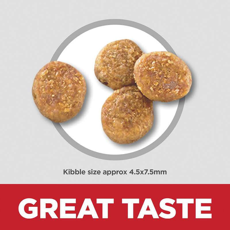 Science Diet, Adult Perfect Weight Small & Mini Chicken Recipe Dry Dog Food for healthy weight manag image number null