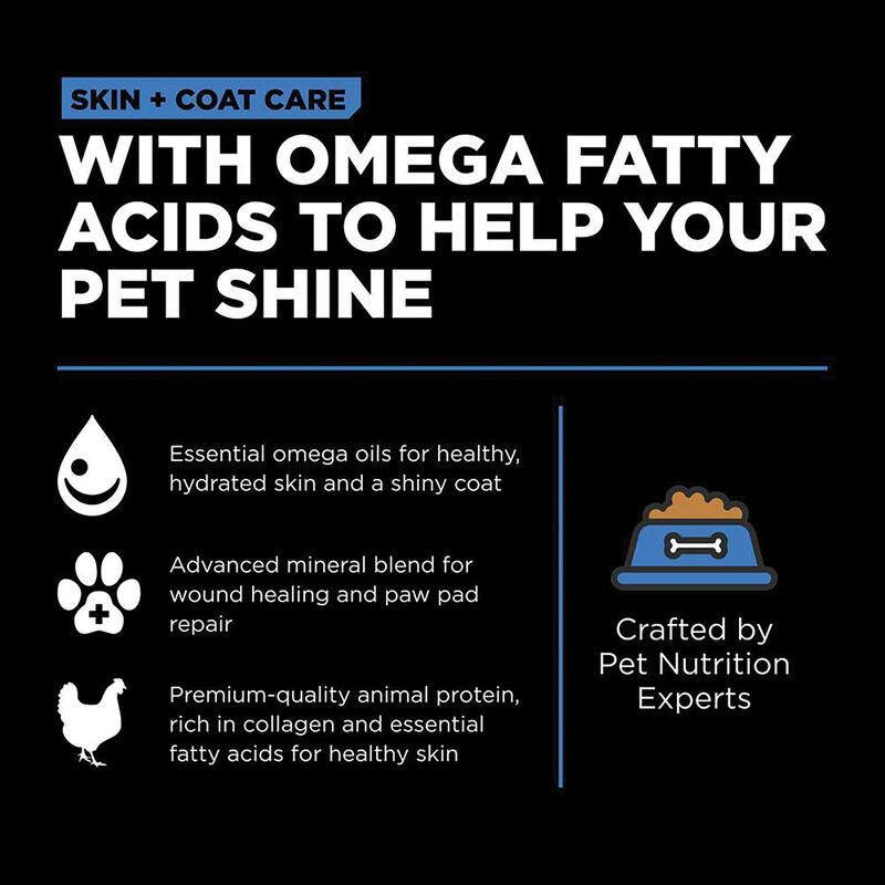 GO! SOLUTIONS SKIN + COAT CARE Chicken Recipe for dogs image number null