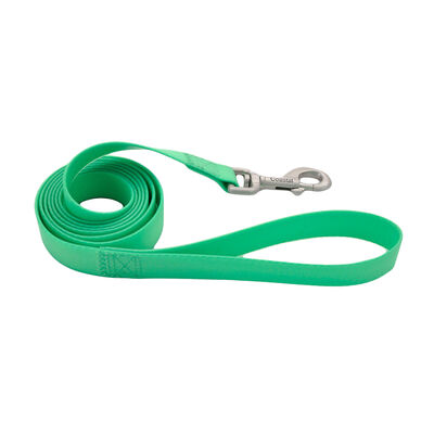 Waterproof Leash, Lime, Medium/Large - 1" x 6'