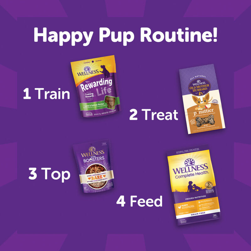 Wellness, Wellbites, Lamb & Salmon Soft Dog Treats - 6 oz - Dog Treat image number null