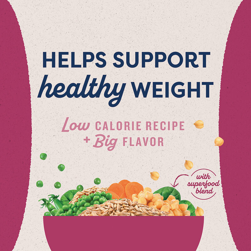 Natural Balance, Adult - Ultra Fat Dogs - Dry Dog Food image number null