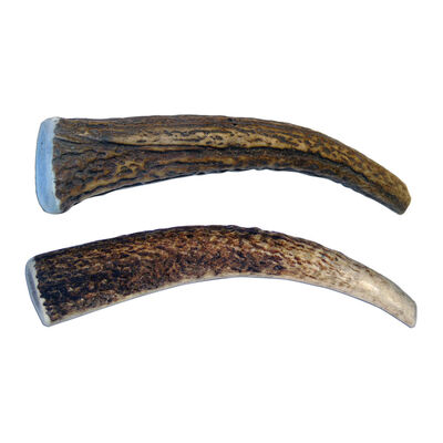 Antler Whole Value Pack  - 2 Pk