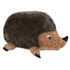 Outward Hound, Hedgehogz - Large image number null