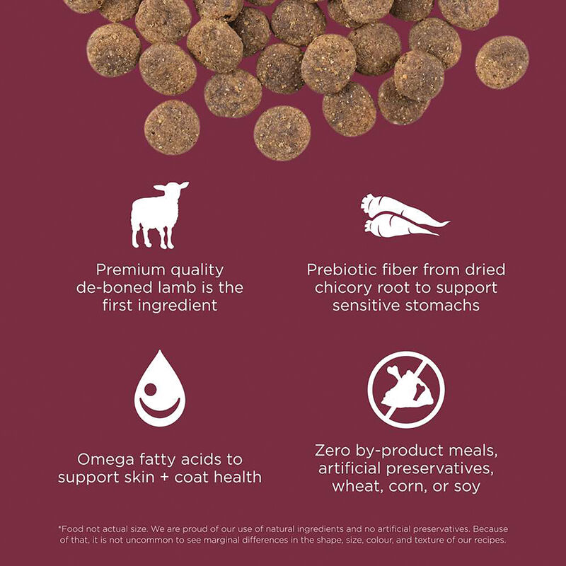 GO! SOLUTIONS, SENSITIVITIES Limited Ingredient Grain Free Lamb Recipe for dogs - Dry Dog Food image number null