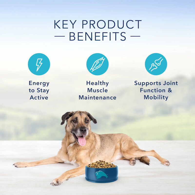 Blue Buffalo, Senior - Life Protection - Chicken & Brown Rice - Dry Dog Food image number null