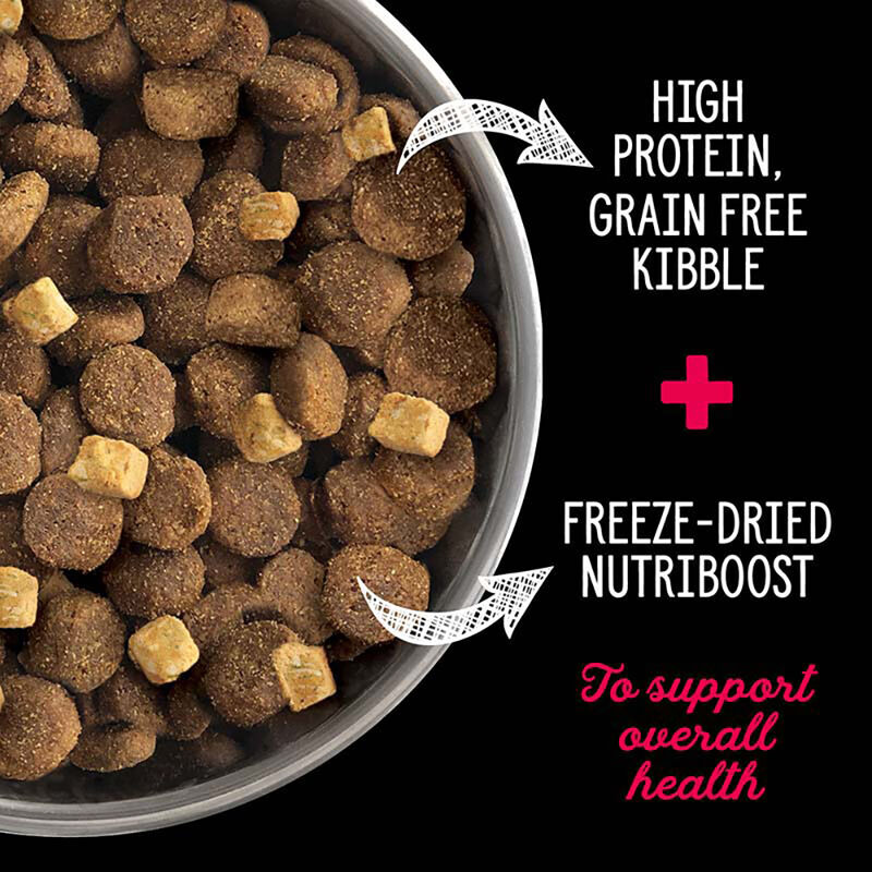 Nutrience, Adult Large Breed - SubZero Grain Free - Prairie Red - 10 kg - Dry Dog Food image number null