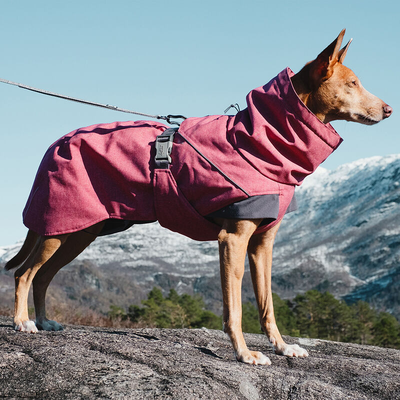 Hurtta, Expedition Parka - Beetroot image number null