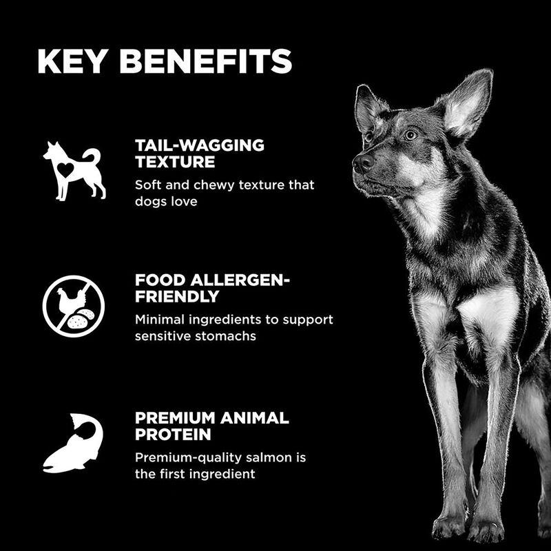 Go! Solutions,Benefit Chews - Sensitivities Limited Ingredient Salmon Dog Treats - 170 g image number null