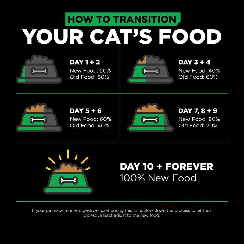 GO! SOLUTIONS, Feline Adult - LI Sensitivites GF Insect Recipe - Dry Cat Food image number null
