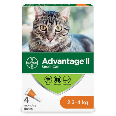 Advantage II, Feline Adult - 2.3-4 kg