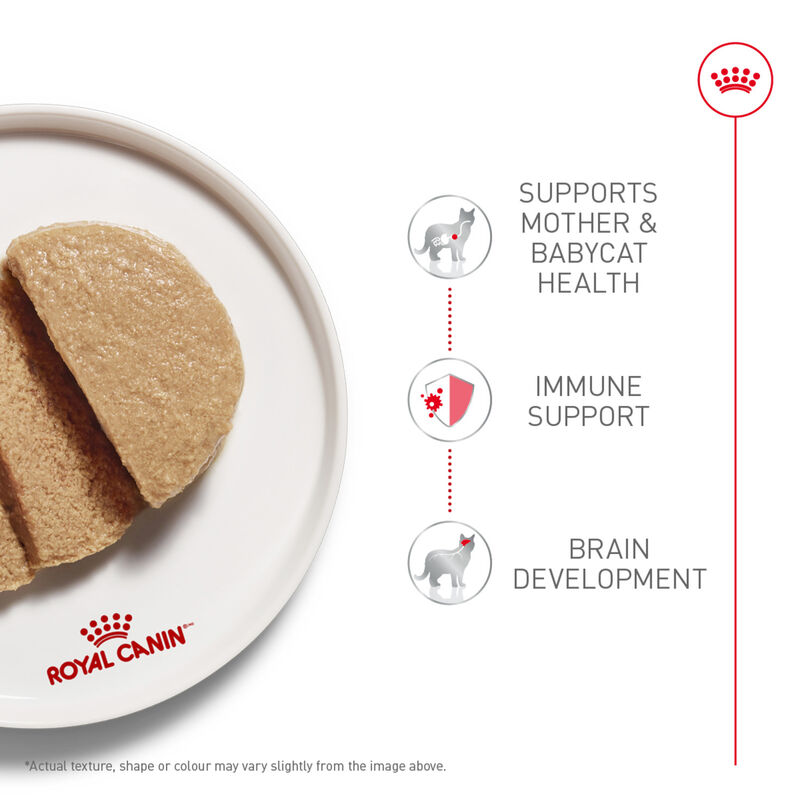 Royal Canin, Can Feline Mother & Babycat Instinctive  - 85 g - Wet Cat Food image number null