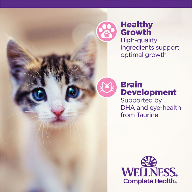 Wellness, Canned Cat Food, Complete Health, Kitten - 3 oz - Wet Cat Food image number null