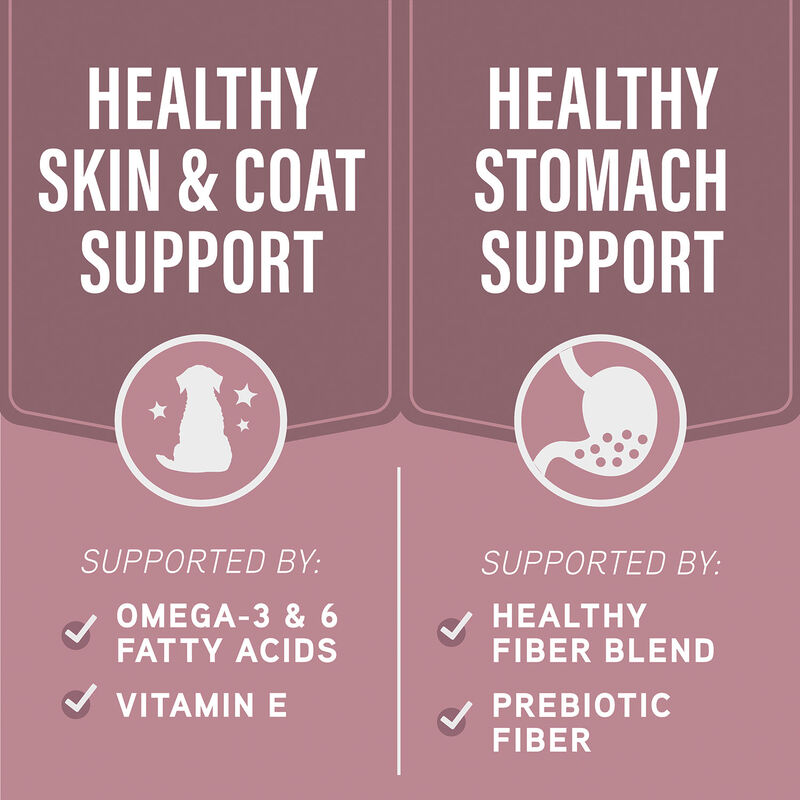 Natural Balance, Specialized Nutrition - Sensitive Skin & Stomach Formula with Salmon & Brown Rice - image number null