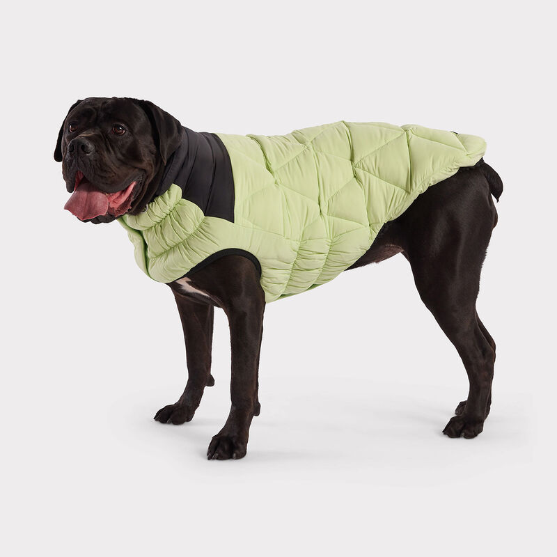 GF Pet, Diamond Puffer - Green  image number null
