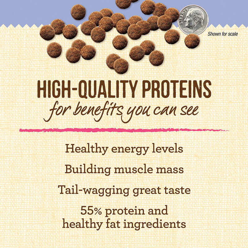 Merrick, Lil'Plates GF Puppy Real Chicken + Sweet Potato - Dry Dog Food image number null