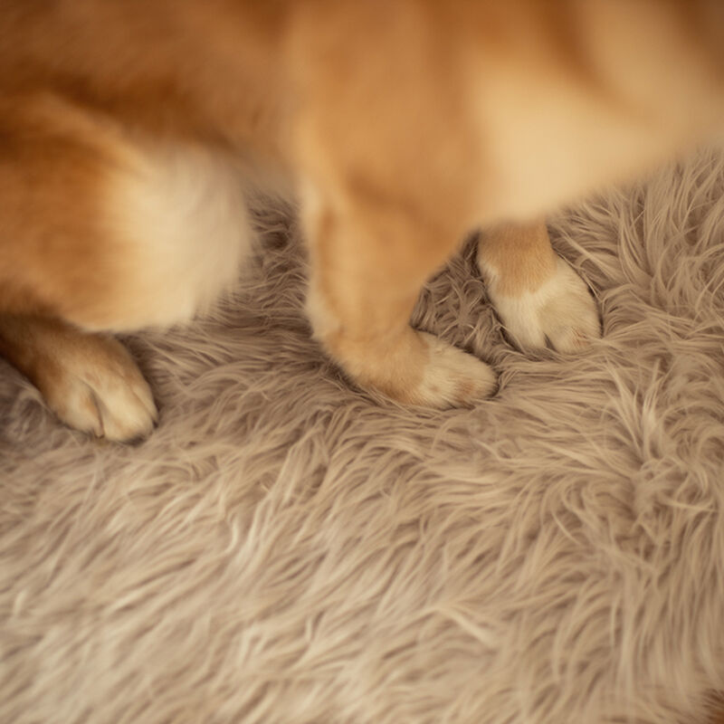 BeOneBreed, Faux Fur Bed - Chic Chalet - Plush Dog Bed image number null