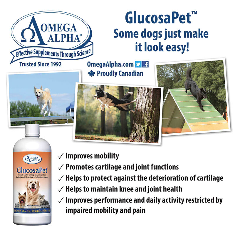 Omega Alpha, Glucosapet - 500 ml image number null