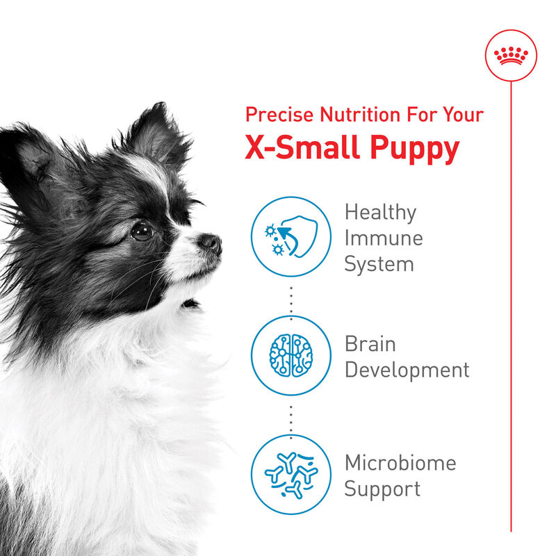 Royal Canin, Size Health Nutrition X-Small Puppy - Dry Dog Food image number null