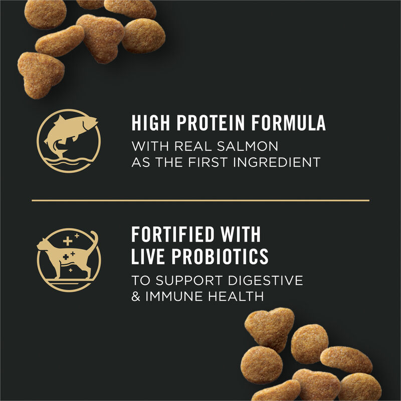Pro Plan, Feline, Adult - Specialized Indoor Hairball Care - Salmon & Rice - Dry Cat Food image number null