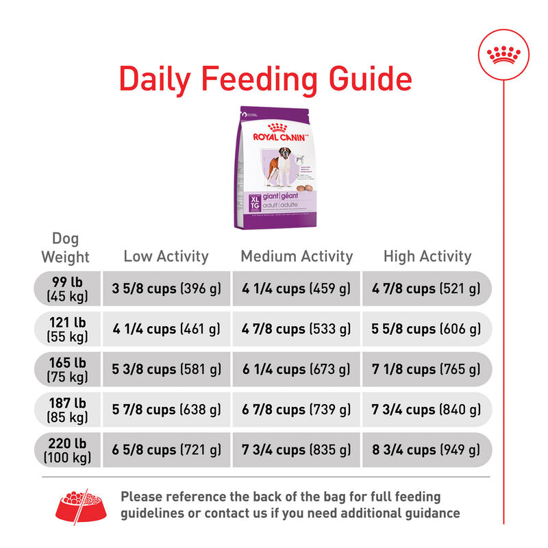Royal Canin, Size Health Nutrition Giant Adult Dog 30LBS - Dry Dog Food image number null