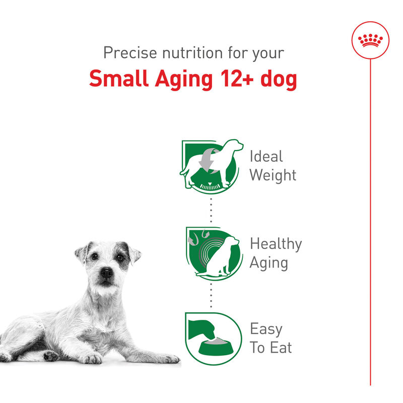 Royal Canin, Size Health Nutrition Small Aging 12+ - Dry Dog Food image number null