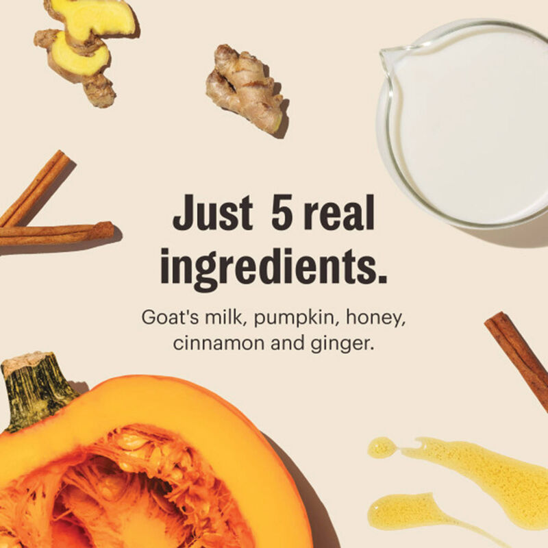 The Honest Kitchen, Instant Pumpkin Spice Latte for Dogs image number null