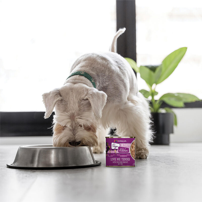 Weruva, Can, Adult - Luv Me Tender - 283 g - Minced - Wet Dog Food image number null