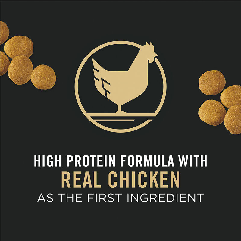 Purina Pro Plan Specialized Large Breed Adult, Chicken & Rice Dry Dog Food 15.4kg image number null