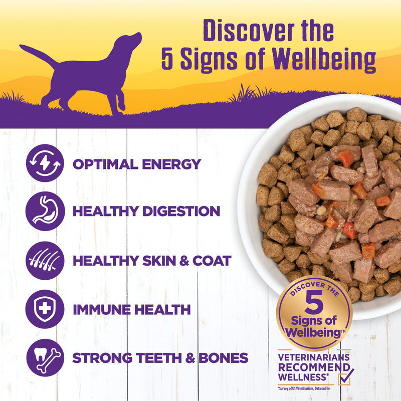 Wellness, Canned Dog Food, Chunks & Gravy, Turkey Stew with Barley & Carrots - 12.5 oz - Wet Dog Foo image number null