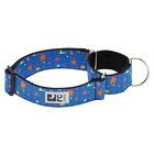 RC Pets, Training Web Collar - Popstar - Medium - Dog Collar image number null