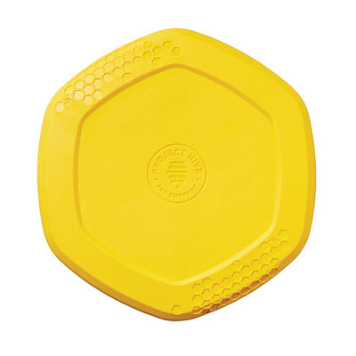 Project Hive Pet Company, Hive Disc