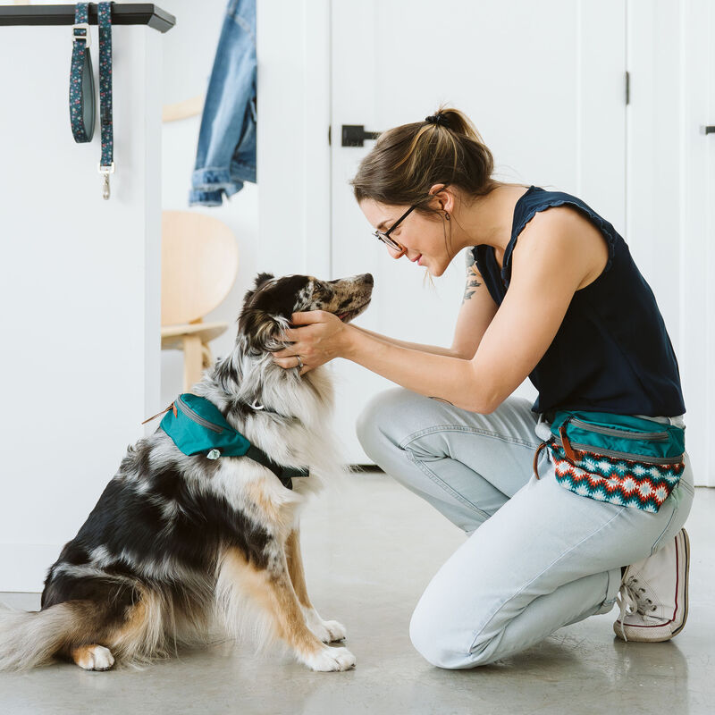 BeOneBreed Belt Treat Pouch image number null
