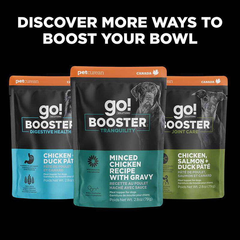 GO! SOLUTIONS,  BOOSTER Immune Health Shredded Chicken + Salmon in broth - 78 g - Wet Dog Food image number null