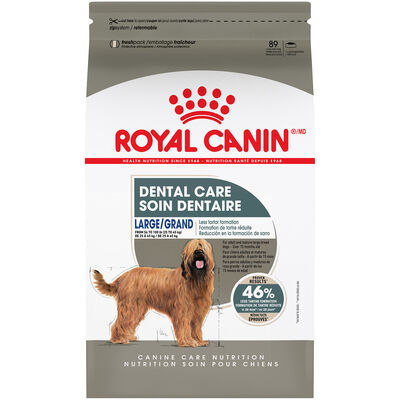 Royal Canin, Canine Care Nutrition Dental Large Dog Food - Dry Dog Food