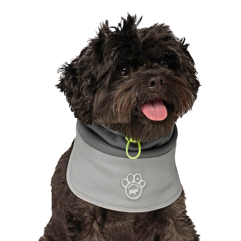 Canada Pooch, Max Chill Cooling Vest Grey image number null