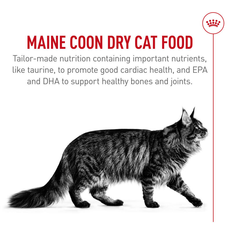 Royal Canin, Feline Breed Nutrition Maine Coon - Dry Cat Food image number null