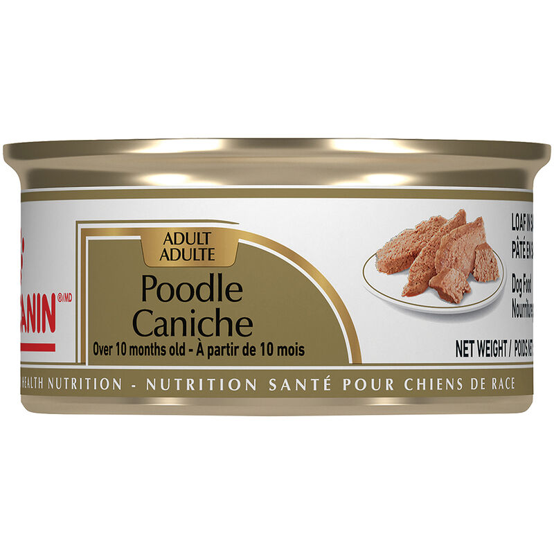 Royal Canin, Breed Health Nutrition Poodle Adult - Dry Dog Food image number null