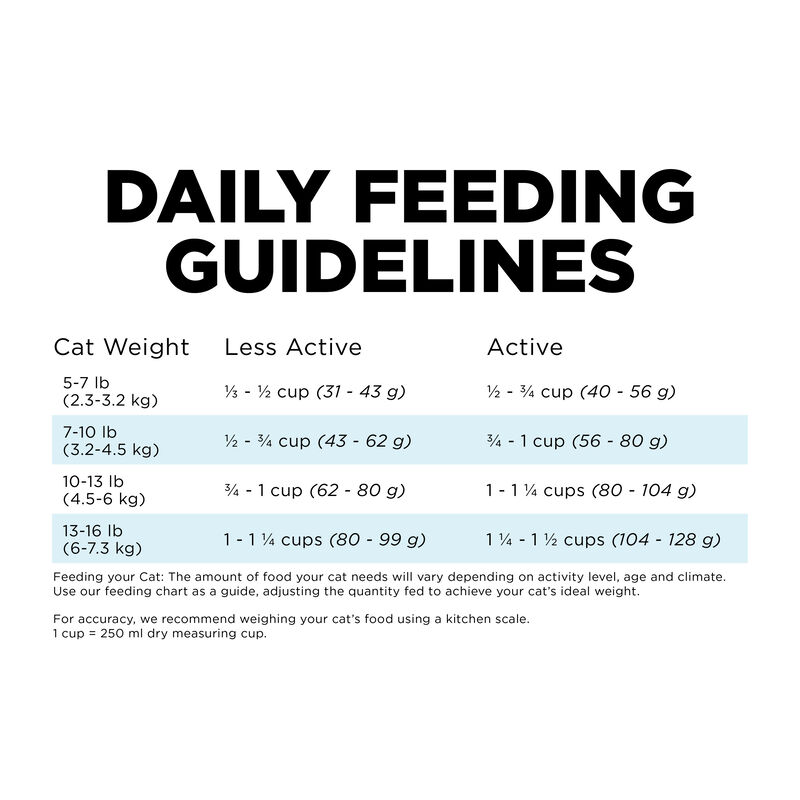 GO! SOLUTIONS, Dental & Immune Health Chicken & Salmon Recipe with Grains - Dry Cat Food image number null