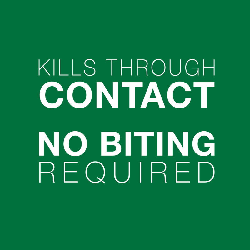 Advantage II, Small Cat Flea Treatment & Protection, 2.3-4kg (2 dose) image number null