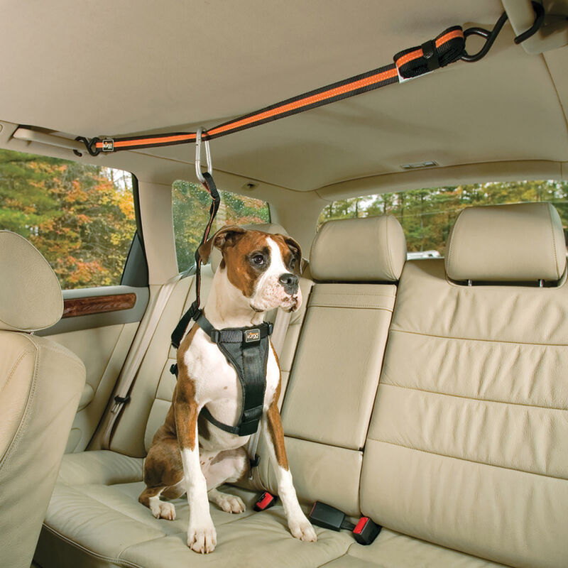 Kurgo, Leash & Zip Line Combo image number null