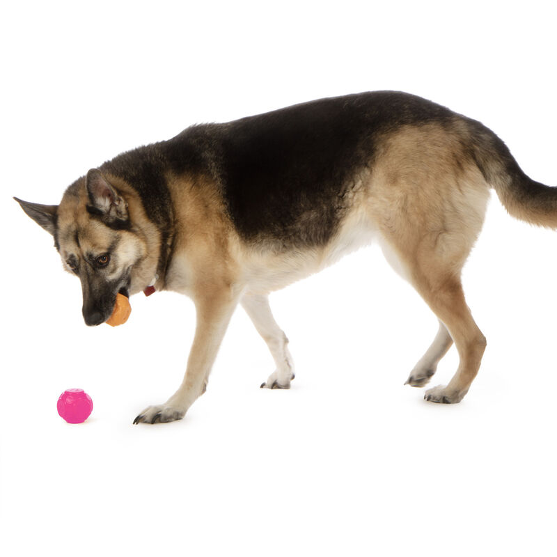 goDog Silent Squeaker Balls - Dog Toy image number null