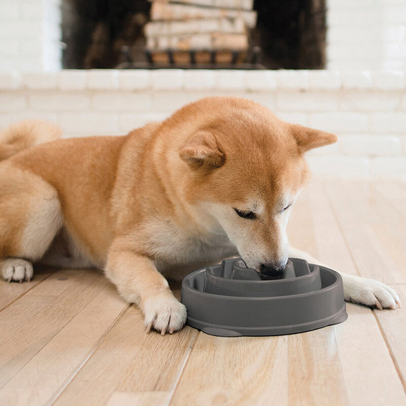 Outward Hound, Fun Feeder Drop - Grey image number null