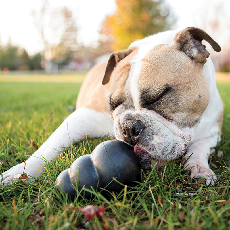 KONG, Extreme - BlacK - Chew Dog Toy image number null
