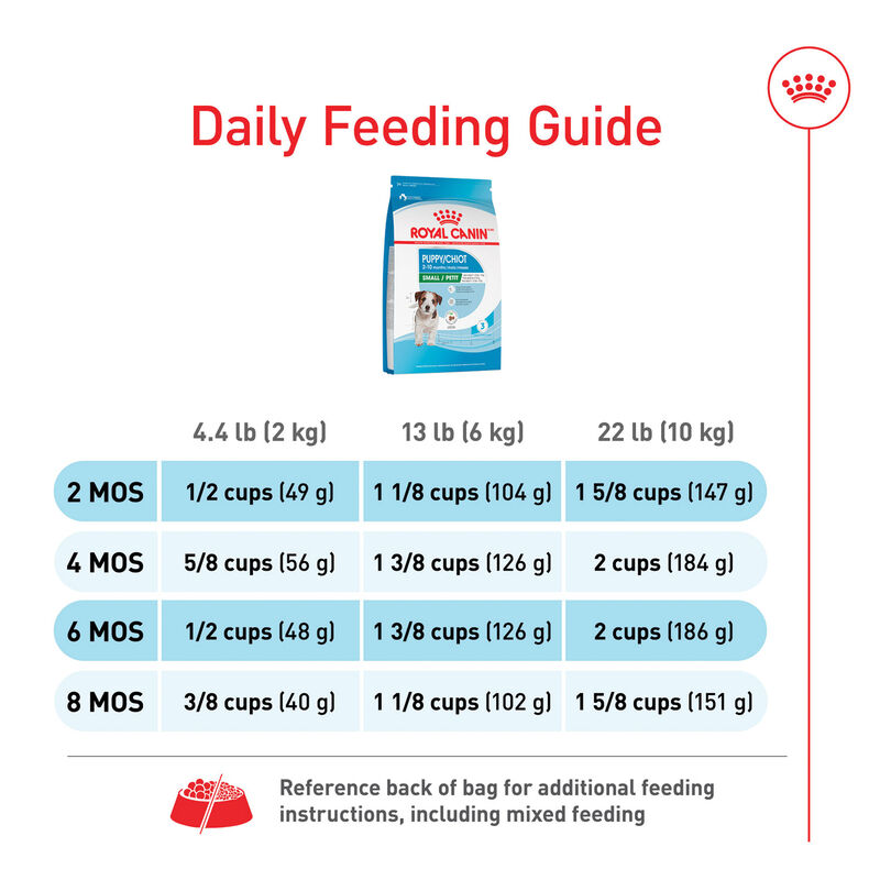 Royal Canin, Size Health Nutrition - Small Puppy - Dry Dog Food image number null