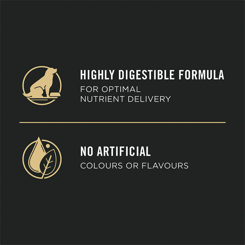 Pro Plan, Senior, Sensitive Skin & Stomach Slmn&Rice-10.9kg - Dry Dog Food image number null
