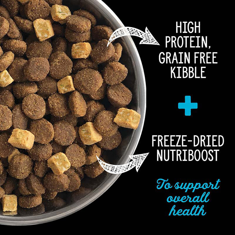 Nutrience, Adult - SubZero Grain Free - Canadian Pacific - Dry Dog Food image number null