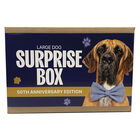 Surprise Box - Dog - Large image number null
