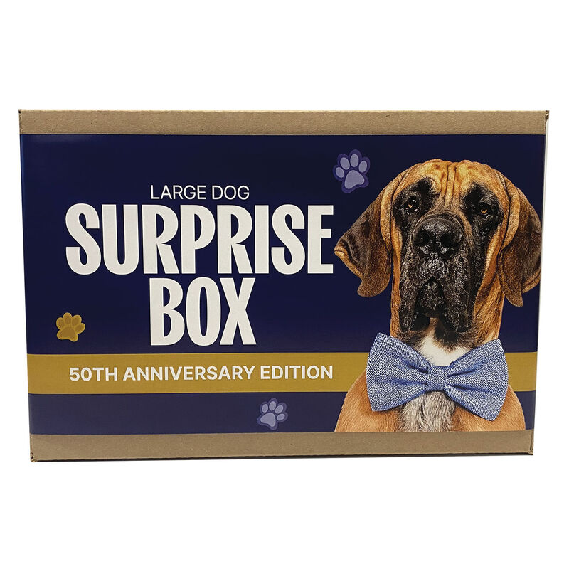 Surprise Box - Dog - Large image number null