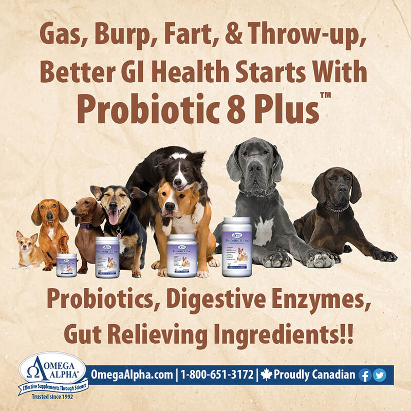 Omega Alpha, Probiotic 8 Plus image number null